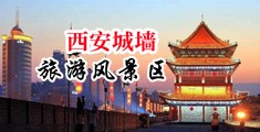 逼操网中国陕西-西安城墙旅游风景区